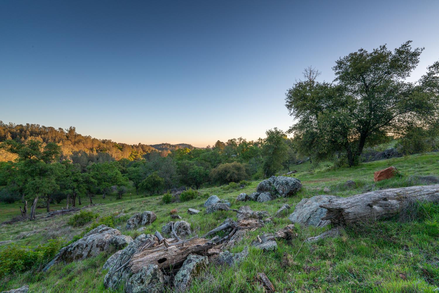 21041 Dalzell Road Smartsville, CA 95977 - Photo 37 of 84