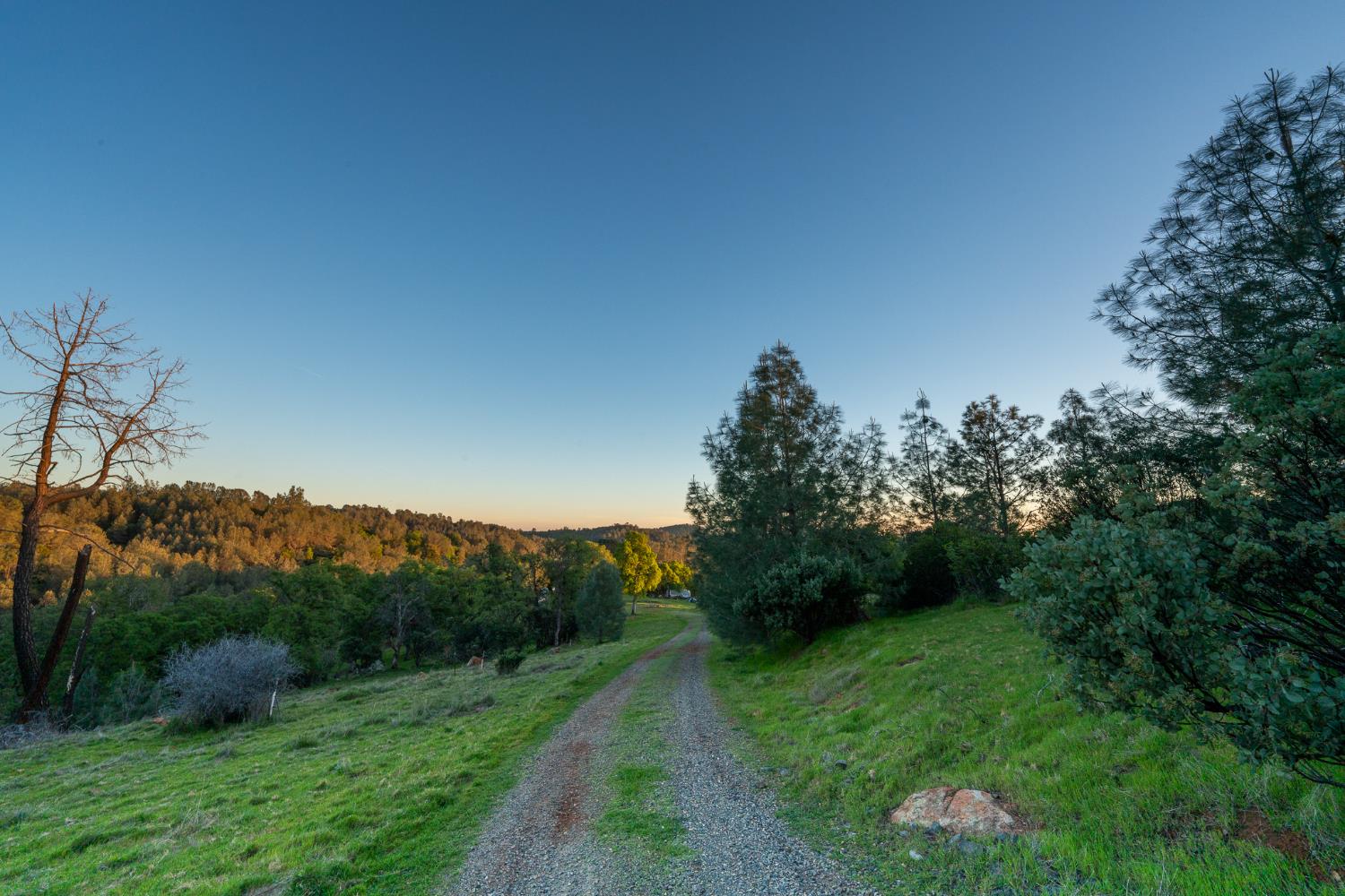 21041 Dalzell Road Smartsville, CA 95977 - Photo 39 of 84