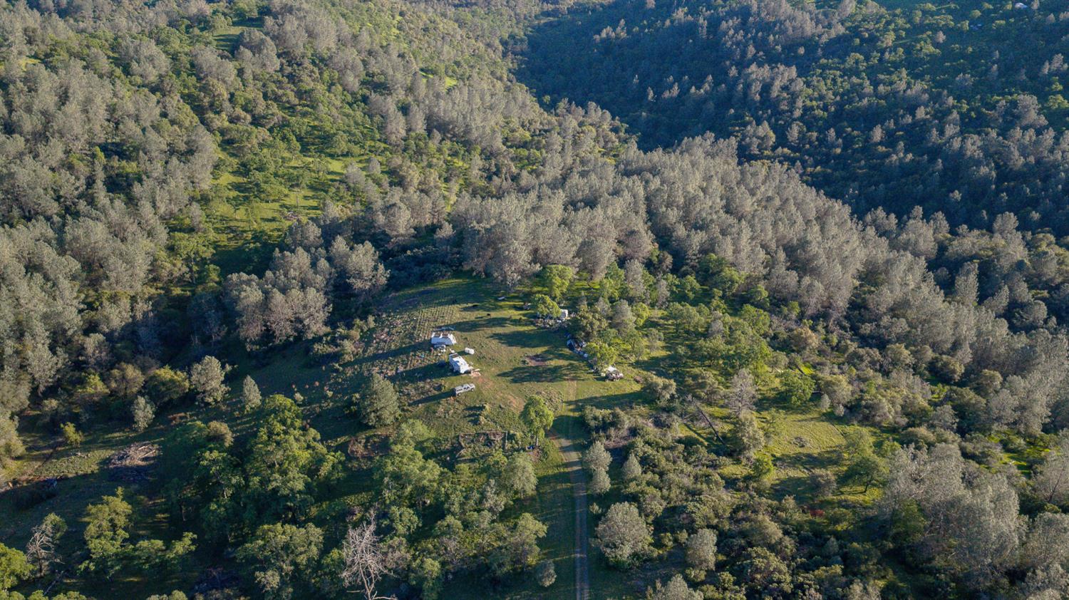 21041 Dalzell Road Smartsville, CA 95977 - Photo 42 of 84