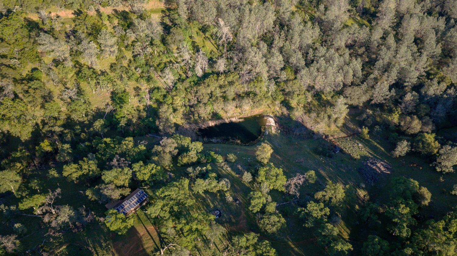 21041 Dalzell Road Smartsville, CA 95977 - Photo 45 of 84