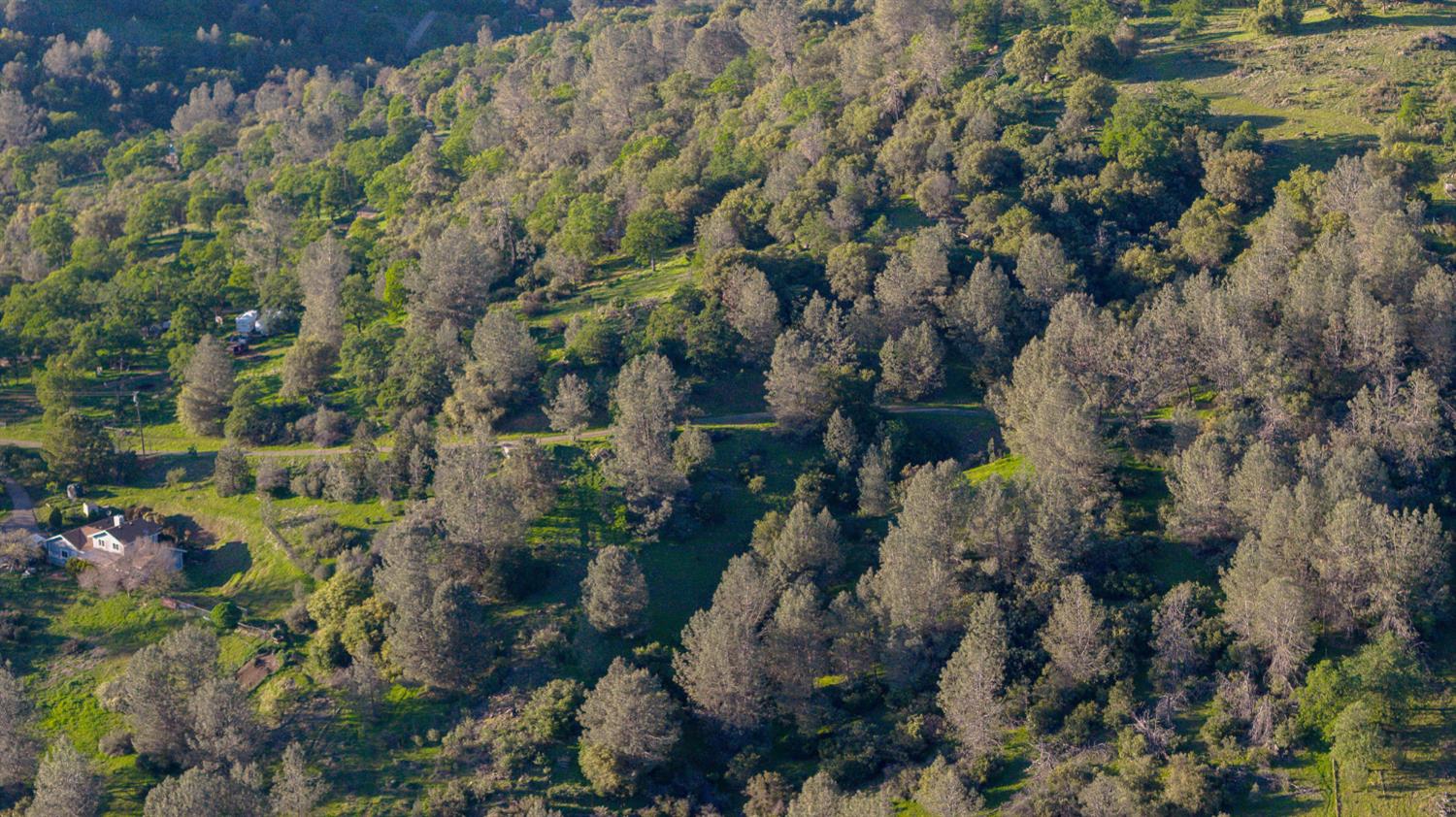 21041 Dalzell Road Smartsville, CA 95977 - Photo 50 of 84