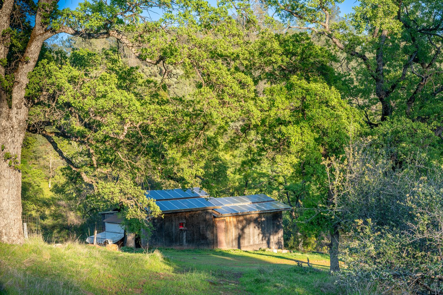 21041 Dalzell Road Smartsville, CA 95977 - Photo 5 of 84 a view of a house with a yard