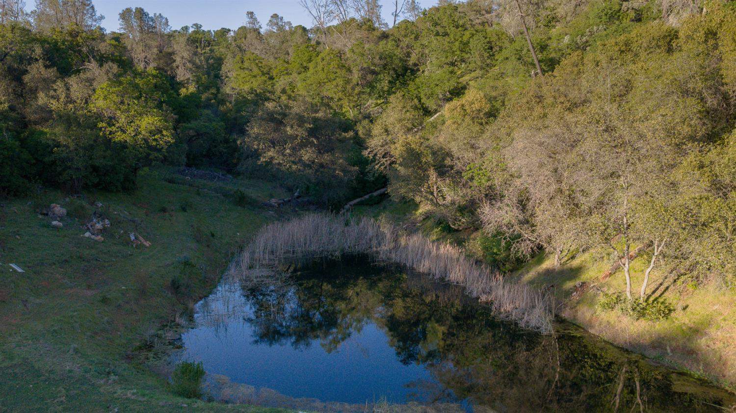 21041 Dalzell Road Smartsville, CA 95977 - Photo 56 of 84