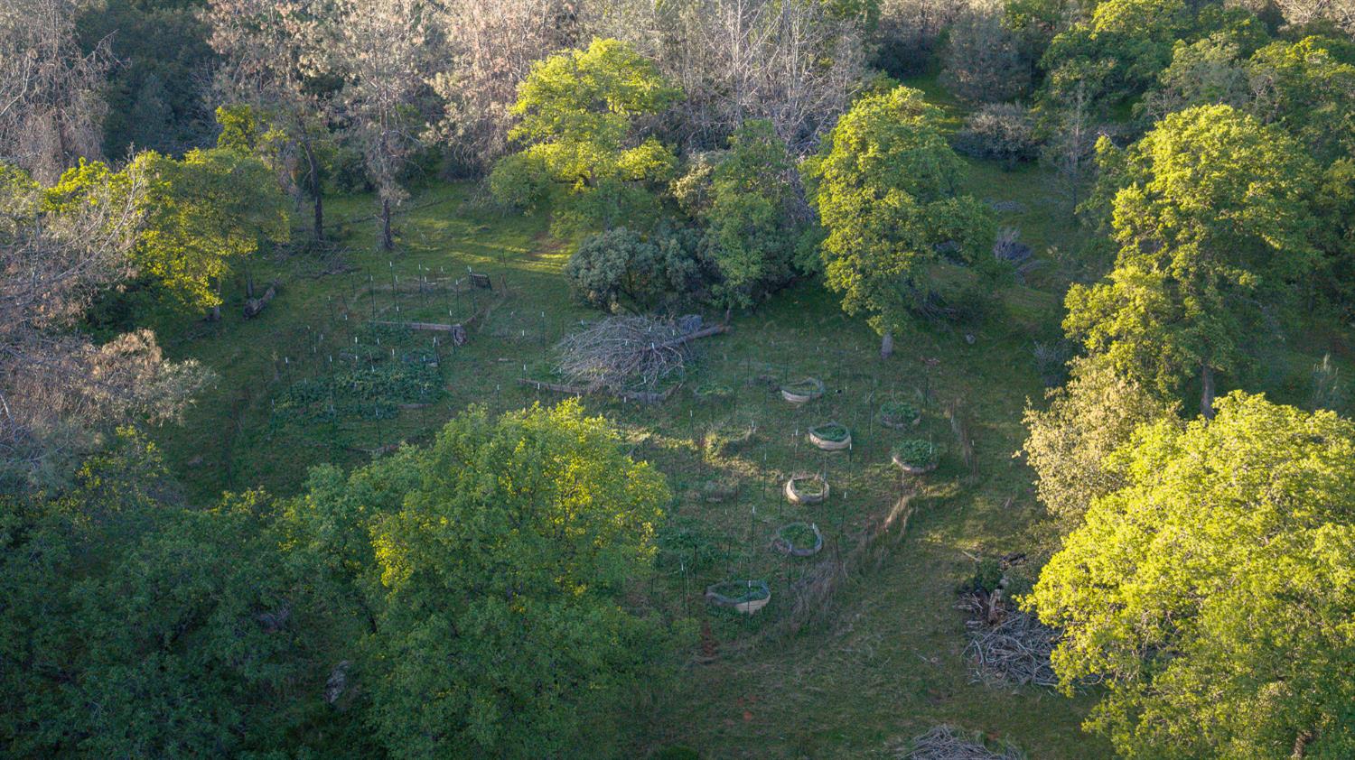 21041 Dalzell Road Smartsville, CA 95977 - Photo 57 of 84