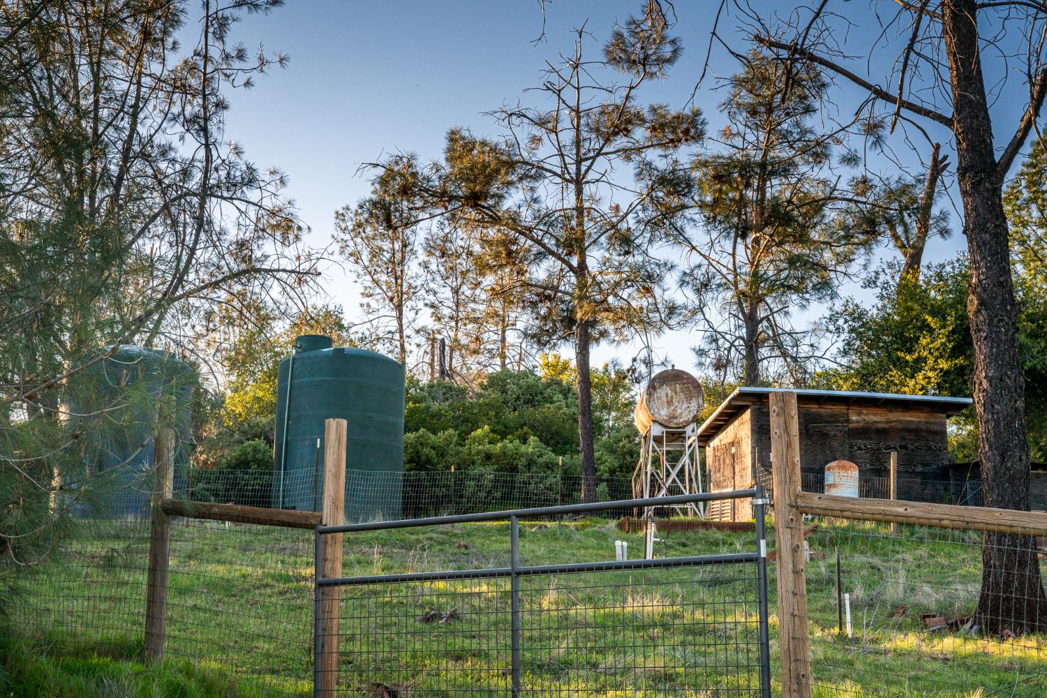 21041 Dalzell Road Smartsville, CA 95977 - Photo 6 of 84 a front view of a house with garden