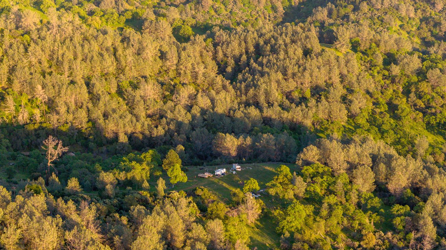 21041 Dalzell Road Smartsville, CA 95977 - Photo 65 of 84