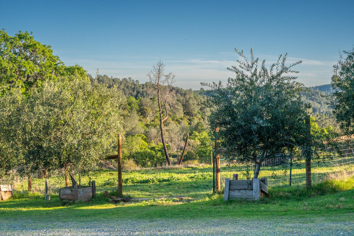 21041 Dalzell Road Smartsville, CA 95977 - Photo 7 of 84 a view of a park