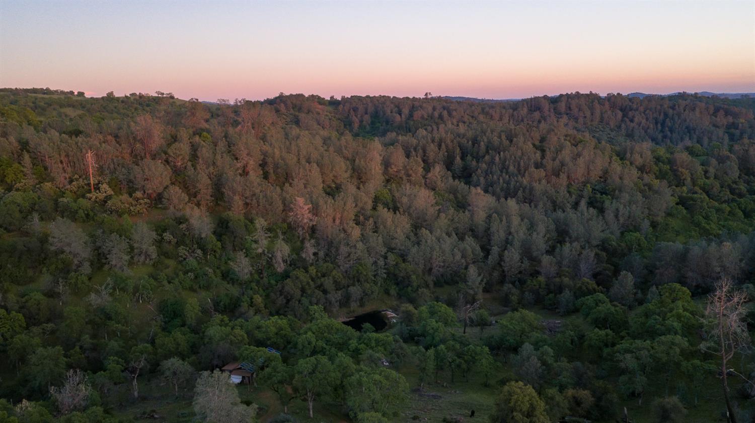 21041 Dalzell Road Smartsville, CA 95977 - Photo 76 of 84