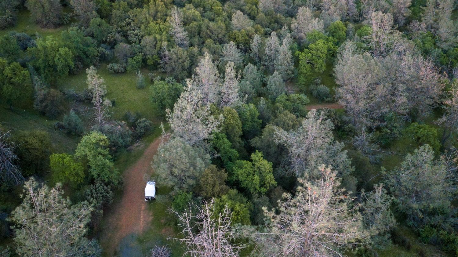 21041 Dalzell Road Smartsville, CA 95977 - Photo 77 of 84