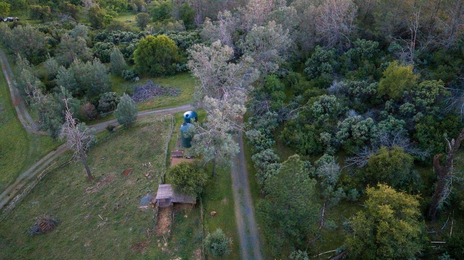 21041 Dalzell Road Smartsville, CA 95977 - Photo 78 of 84