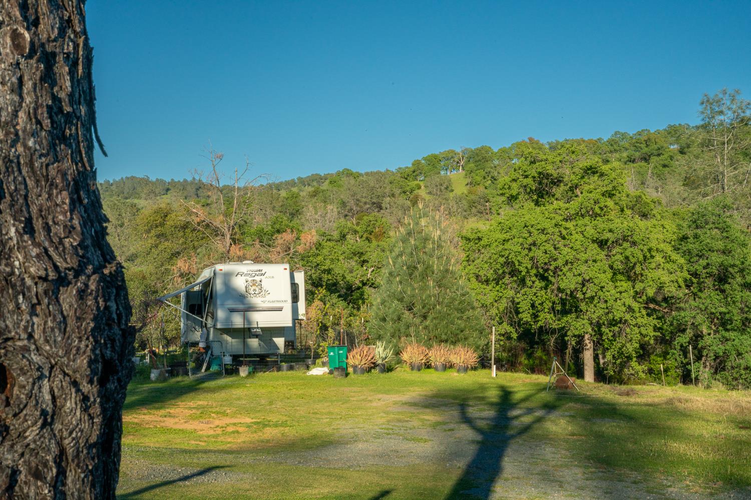 21041 Dalzell Road Smartsville, CA 95977 - Photo 10 of 84 a view of a pool with a yard