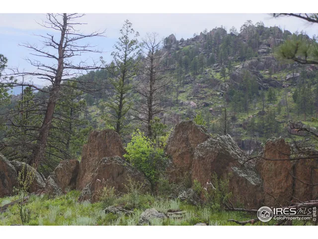 a view of a lot of trees and bushes