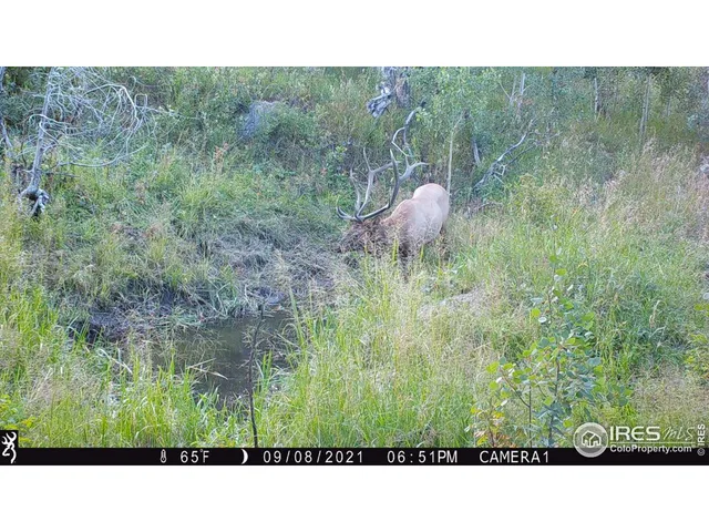 a black and white photo of a mountain