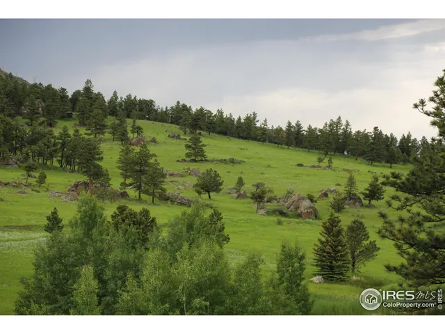 a view of a lush green space