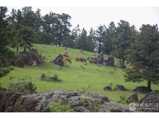 a open area with mountains in the back