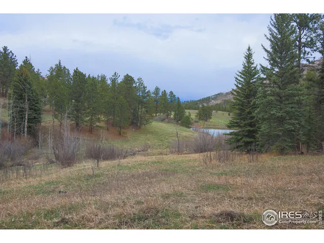 a view of a field with a tree in the background