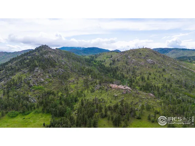 a black and white photo of a lake