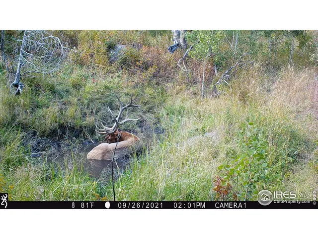 a vase of flowers sitting on a table