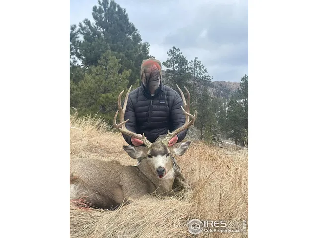 a vase of flowers sitting on a floor