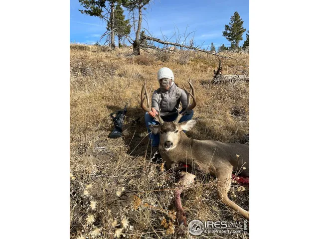 a view of a lake with a yard