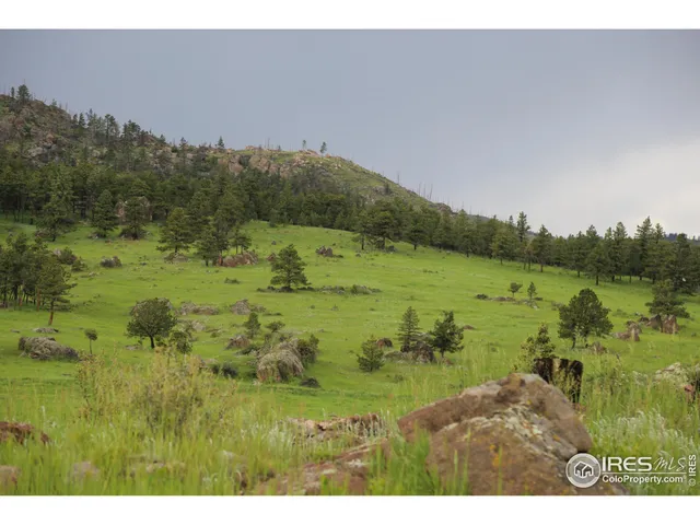 a open area with green field