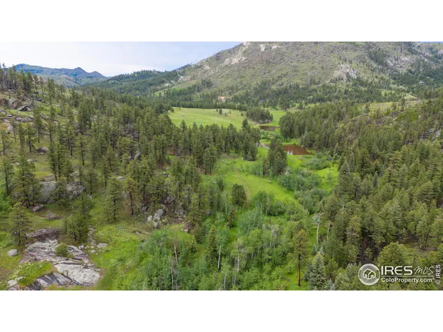 a black and white photo of a lake