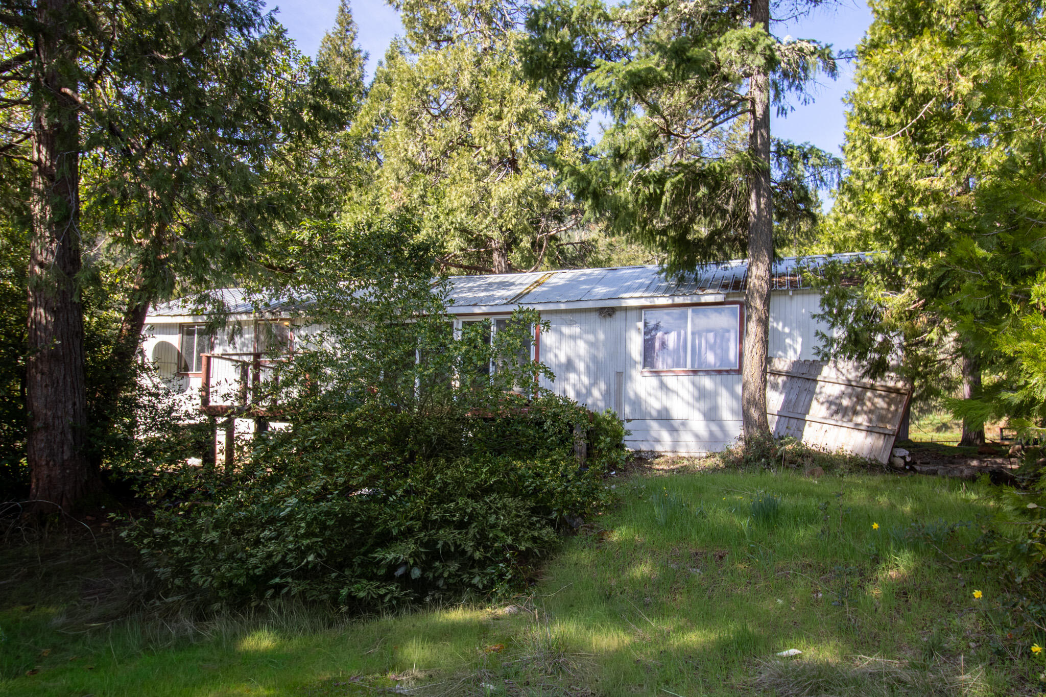 297 Warren Road Selma, OR 97538 - Photo 4 of 14 297 9