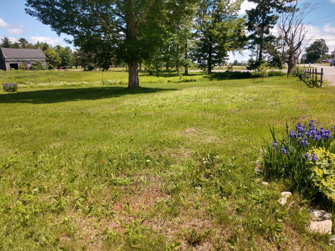 9 Church Hill Road Burlington, ME 04417 - Photo 5 of 25 IMG_20190701_115123499_HDR