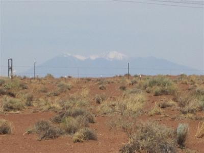8710 Reata Road Winslow, AZ 86047 - Photo 14 of 14 Additional Photo