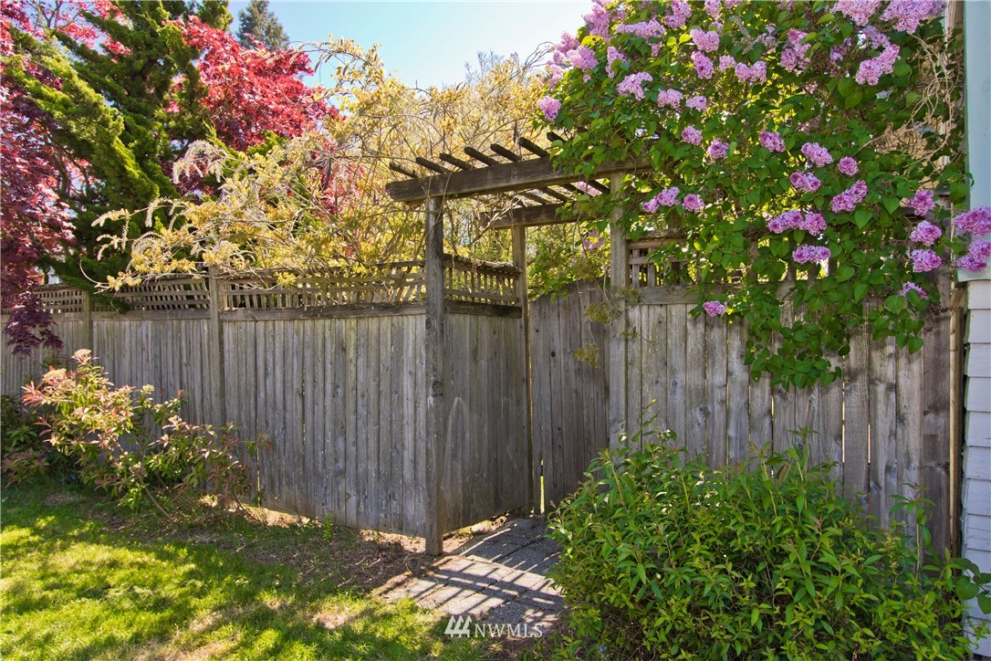 7501 California Avenue Southwest Seattle, WA 98136 - Photo 2 of 25 a backyard of a house