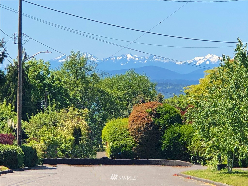 7501 California Avenue Southwest Seattle, WA 98136 - Photo 25 of 25 a view of a garden