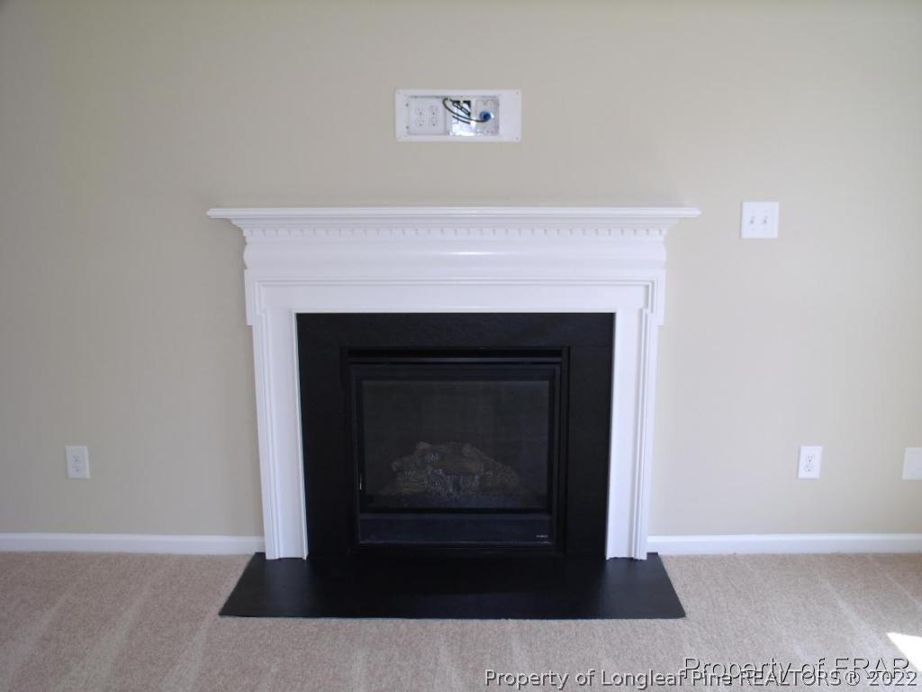 908 Raspberry Road Stedman, NC 28391 - Photo 14 of 36 Gallery Image 14