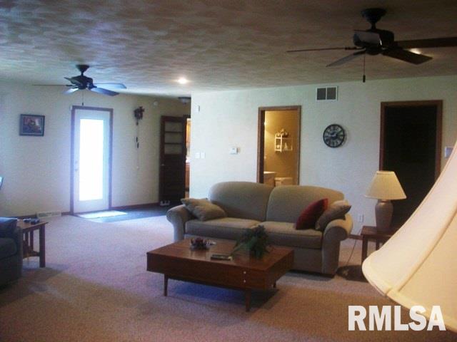 247 Harvester Road Canton, IL 61520 - Photo 23 of 36 Gallery Image 23