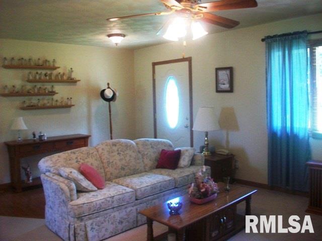 247 Harvester Road Canton, IL 61520 - Photo 8 of 36 Gallery Image 8