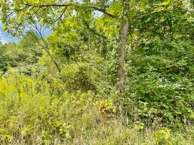 0 Gill Ridge Road Leon, WV 25123 - Photo 8 of 10 Gallery Image 8