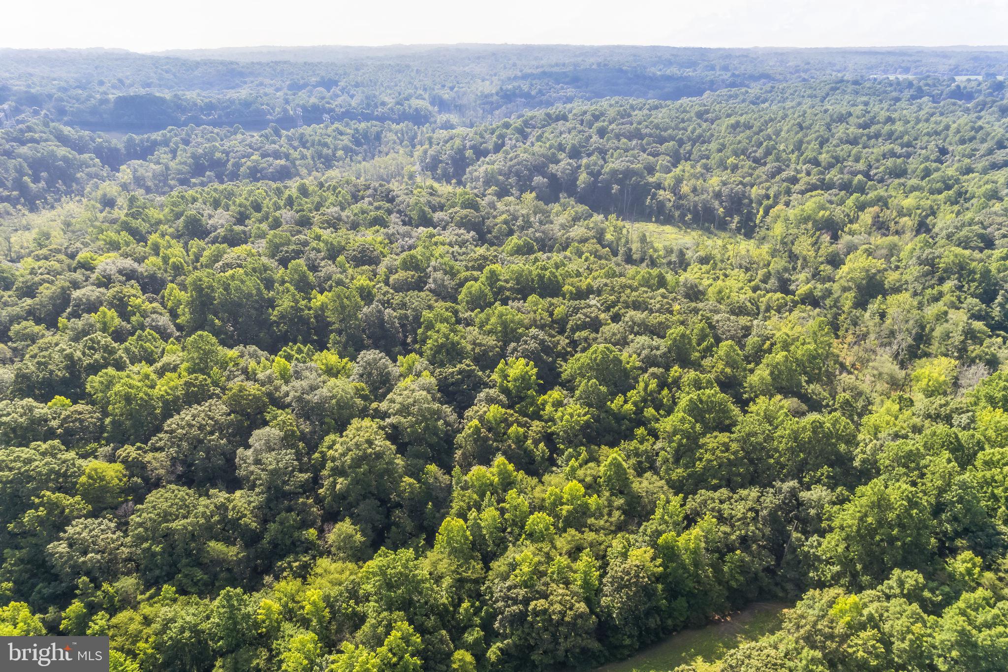 4885 Hardesty Road Huntingtown, MD 20639 - Photo 5 of 10 a view of a forest with a street