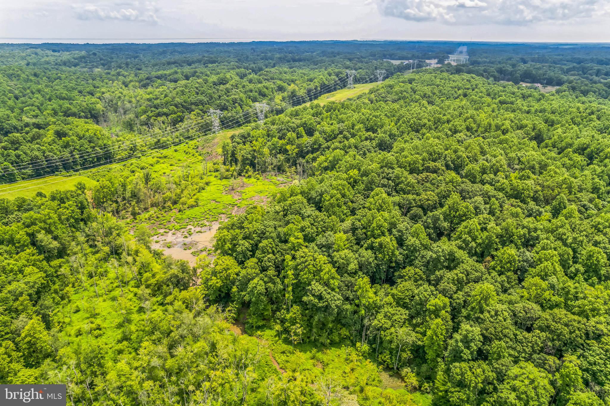 4885 Hardesty Road Huntingtown, MD 20639 - Photo 7 of 10 a view of a green field with lots of bushes