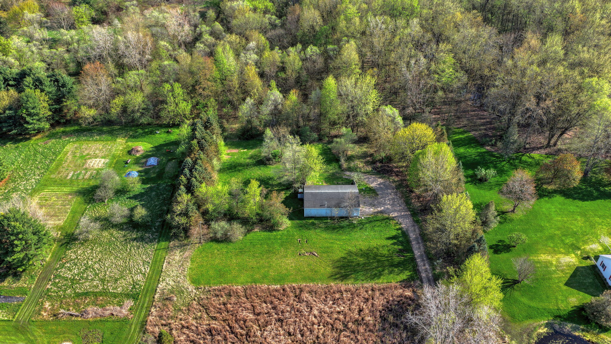 7001 Scio Church Road Ann Arbor, MI 48103 - Photo 11 of 33 9-web-or-mls-DJI_20260423172628_0881_D_H
