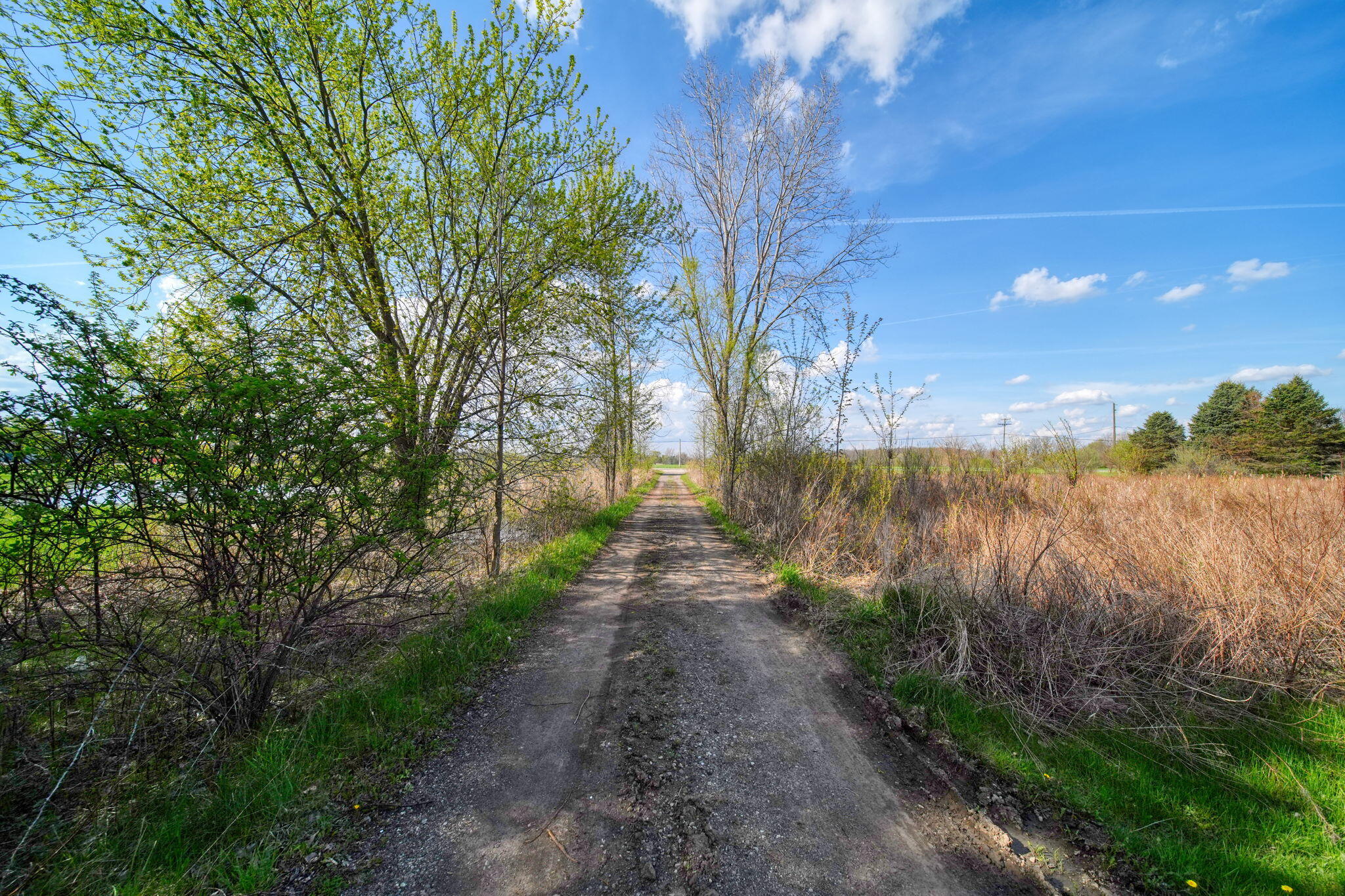 7001 Scio Church Road Ann Arbor, MI 48103 - Photo 2 of 33 17-web-or-mls-DSC02299_HDR