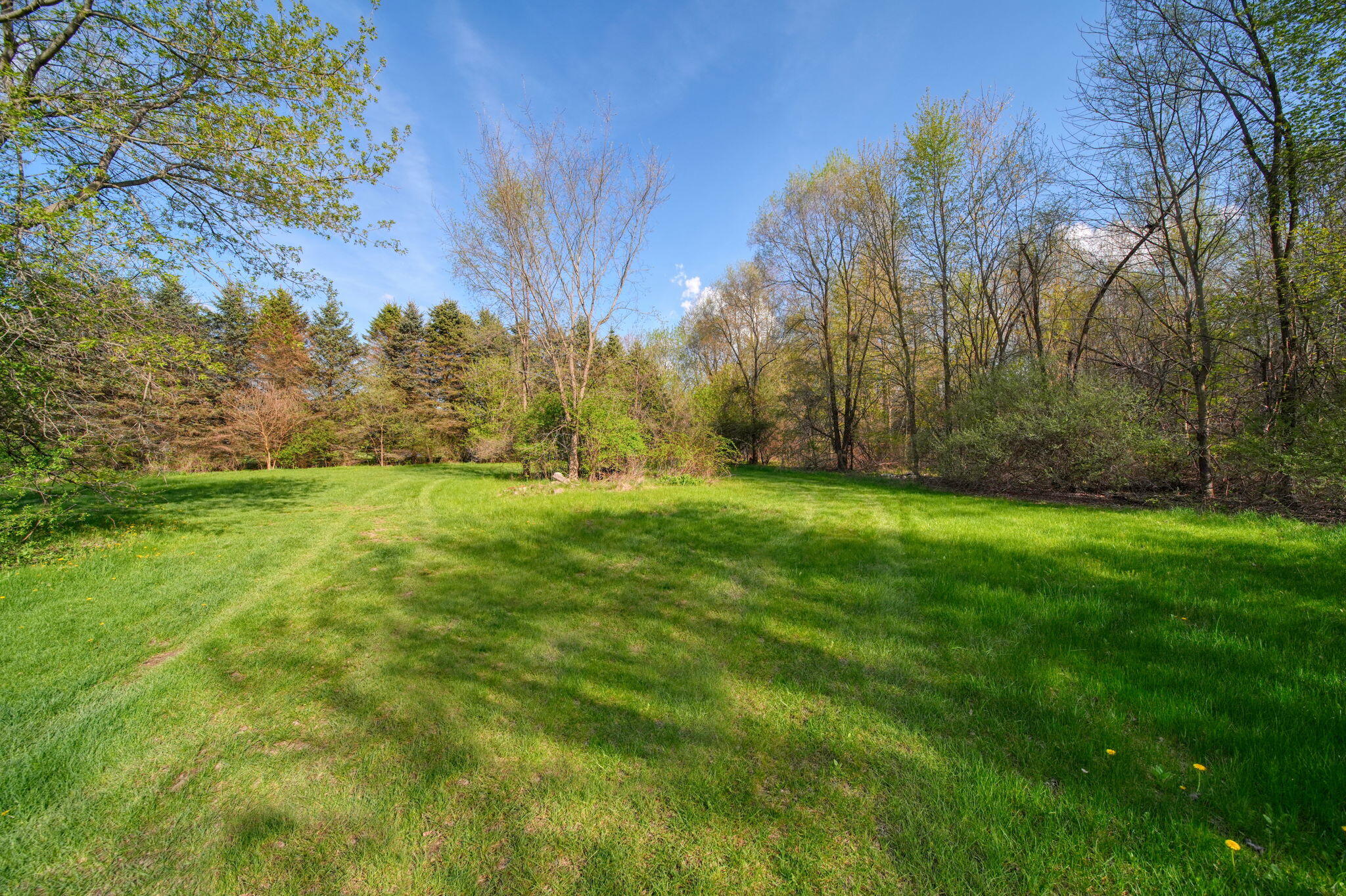 7001 Scio Church Road Ann Arbor, MI 48103 - Photo 3 of 33 22-web-or-mls-DSC02324_HDR