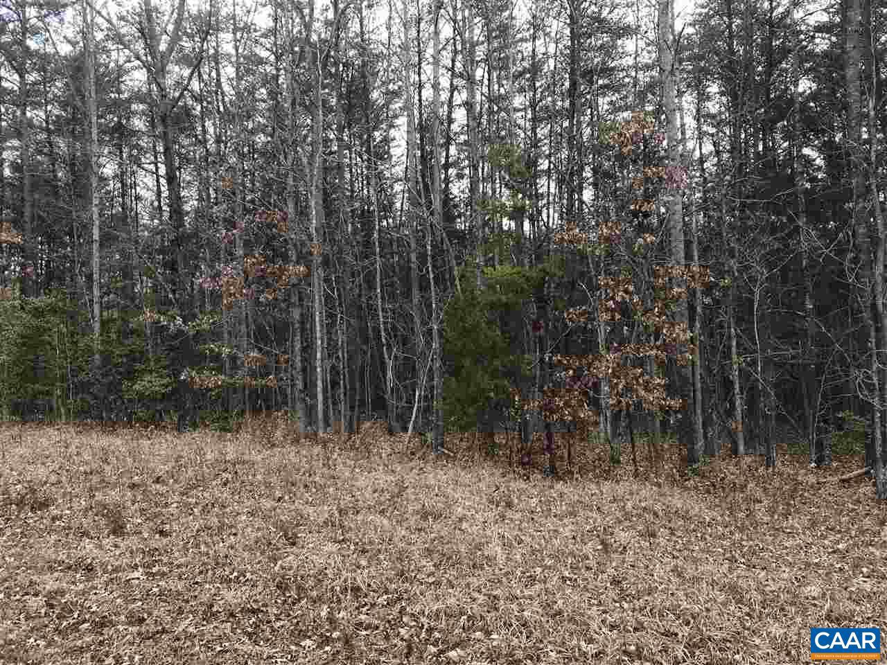 # Davis Mill Road Goochland, VA 23063 - Photo 1 of 10