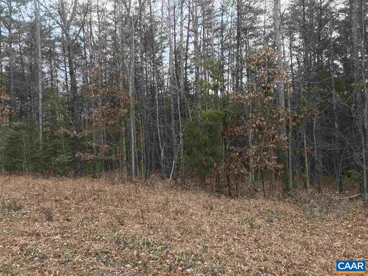 # Davis Mill Road Goochland, VA 23063 - Photo 3 of 10