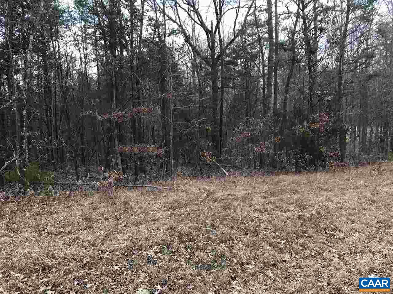 # Davis Mill Road Goochland, VA 23063 - Photo 4 of 10