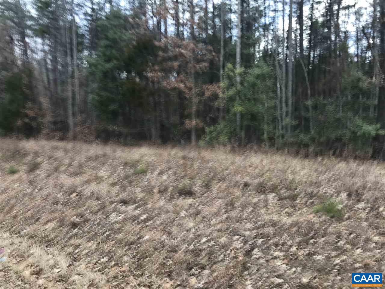 # Davis Mill Road Goochland, VA 23063 - Photo 10 of 10
