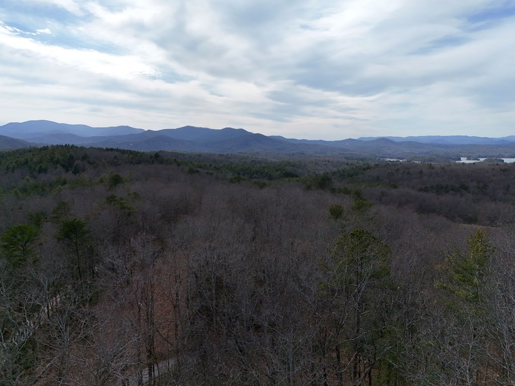 2.94-acr Padena Road Blue Ridge, GA 30513 - Photo 10 of 43 Gallery Image 10