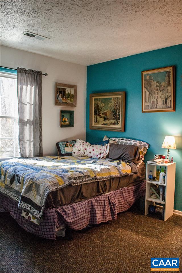 71 Thomas Court Ruckersville, VA 22968 - Photo 16 of 17 Gallery Image 16