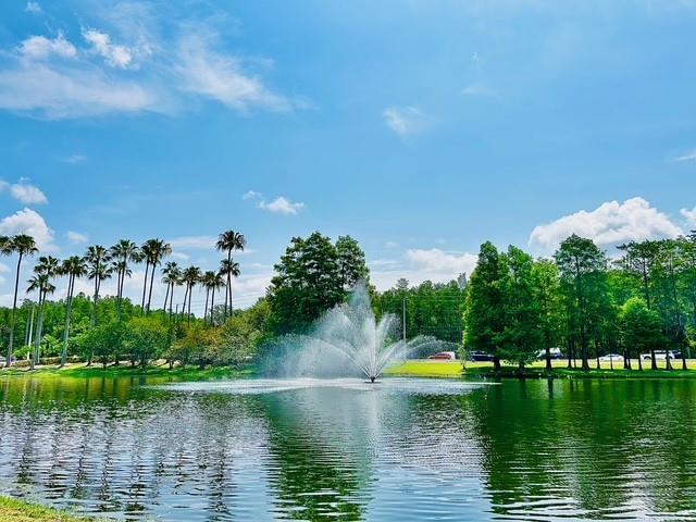 13500 Turtle Marsh Loop, Unit 825 Orlando, FL 32837 - Photo 4 of 19 a view of a lake with houses in the back