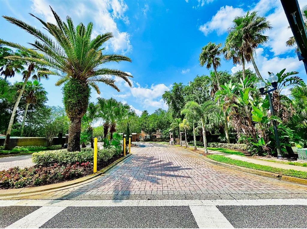 13500 Turtle Marsh Loop, Unit 825 Orlando, FL 32837 - Photo 5 of 19 a palm plant sitting in front of a house with a yard