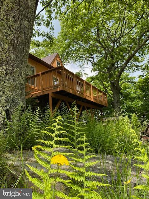 39 Kile Knob Road Franklin, WV 26807 - Photo 5 of 7