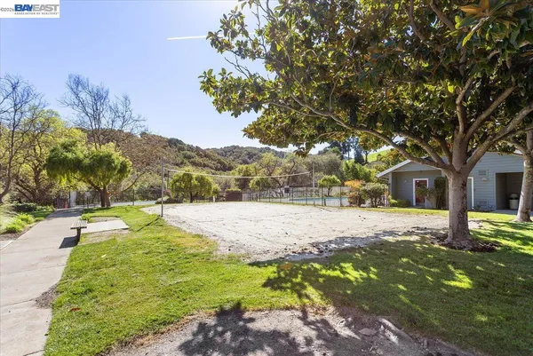 a view of a yard with plants and trees
